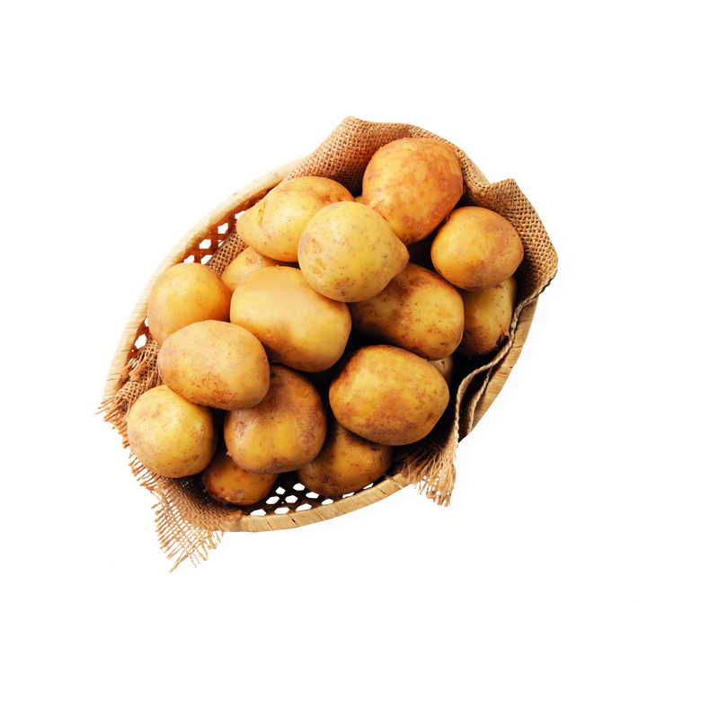 Brambory konzumní rané