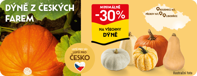 Dýně