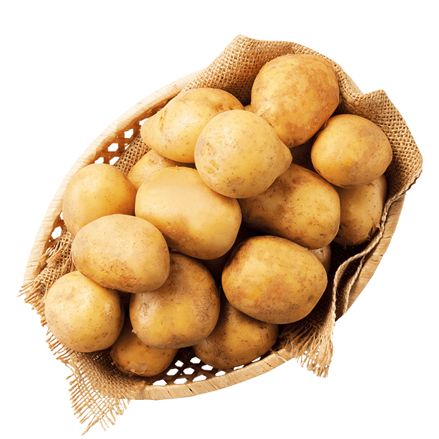 Brambory konzumní rané