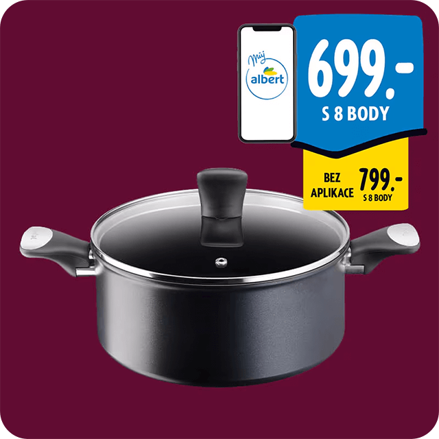 Tefal Perfect Touch hrnec s poklicí 24 cm