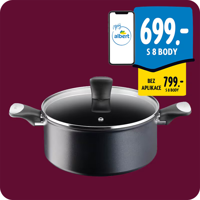 Tefal Perfect Touch hrnec s poklicí 24 cm