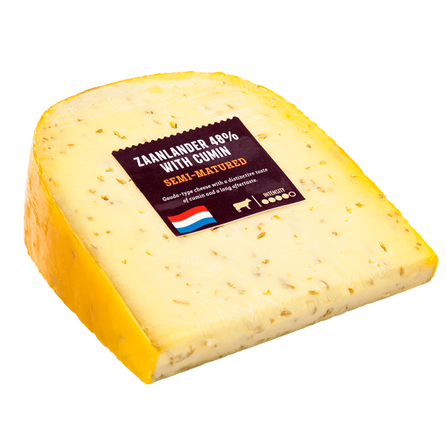Albert Excellent Gouda s kmínem 48%
