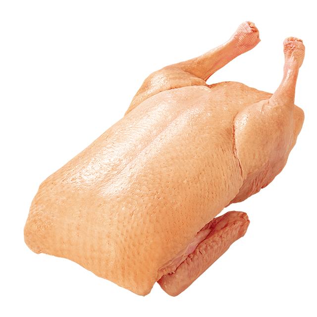 Kachna
